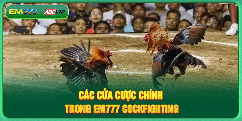 Main bets in EM777 Cockfighting