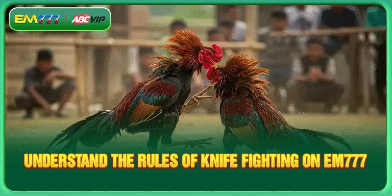 Understand the rules of knife fighting on EM777